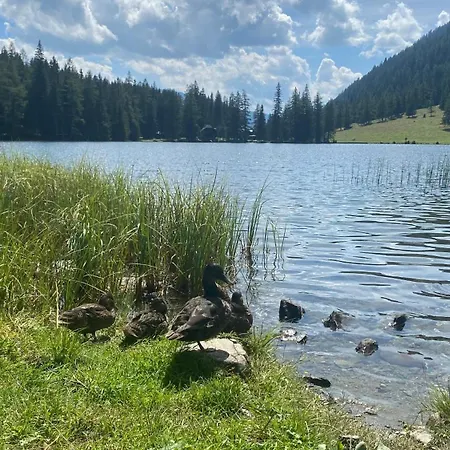 Urlaub Am Fieglerberg B&B